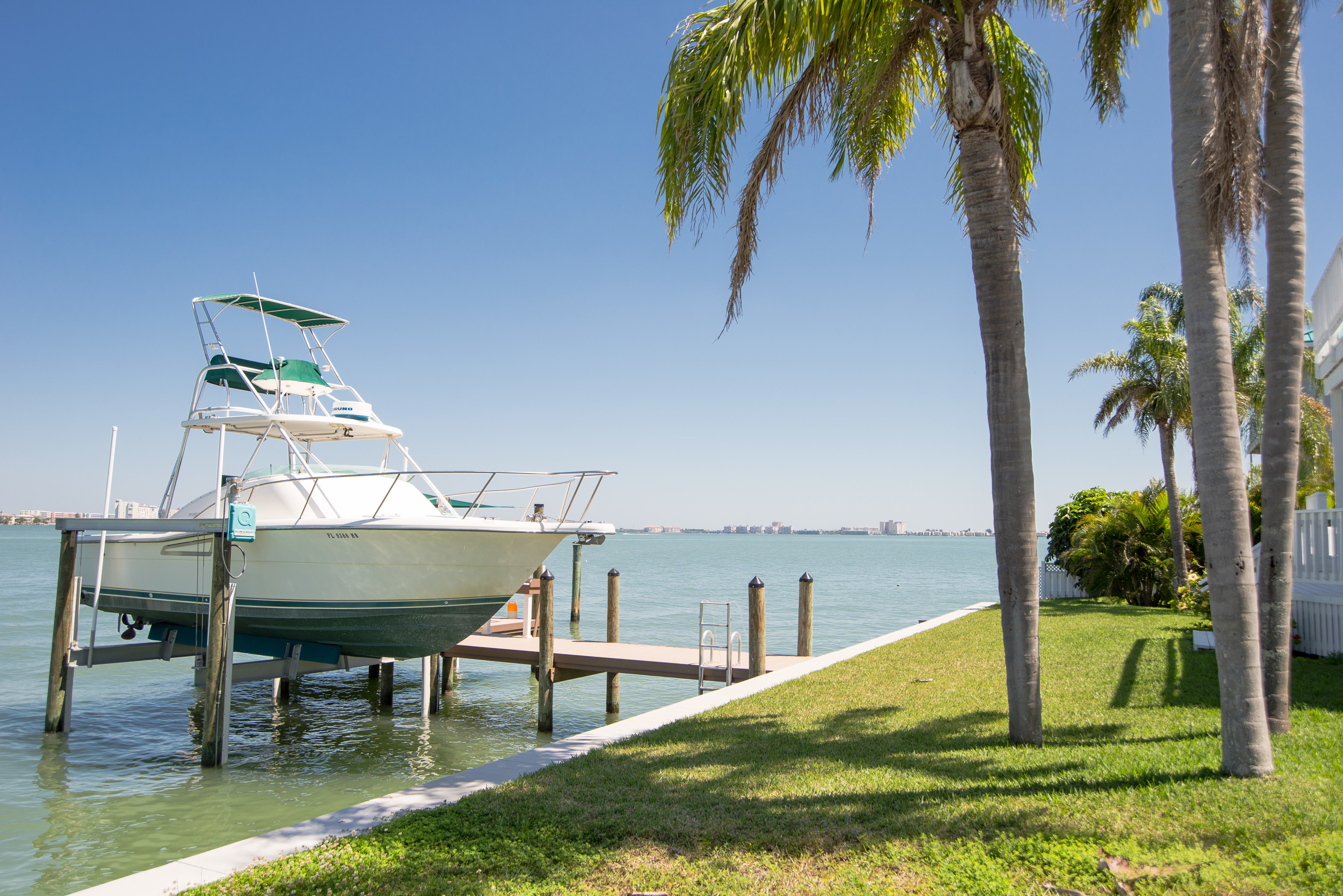 Downtown Tampa Activity